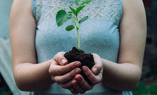 healthy soil
