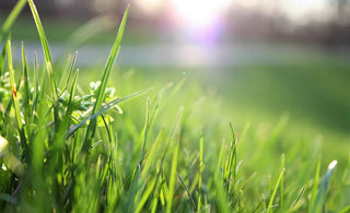 garden-solutions