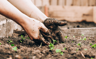 The Power of Nature Farming