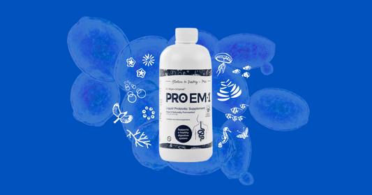 Probiotics for Specific Health Conditions: A Comprehensive Review