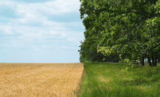 Farming-Practices