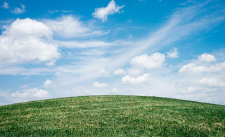 green lawn and blue sky