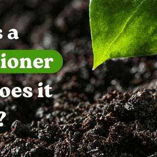What Is a Soil Conditioner and How Does it Work?