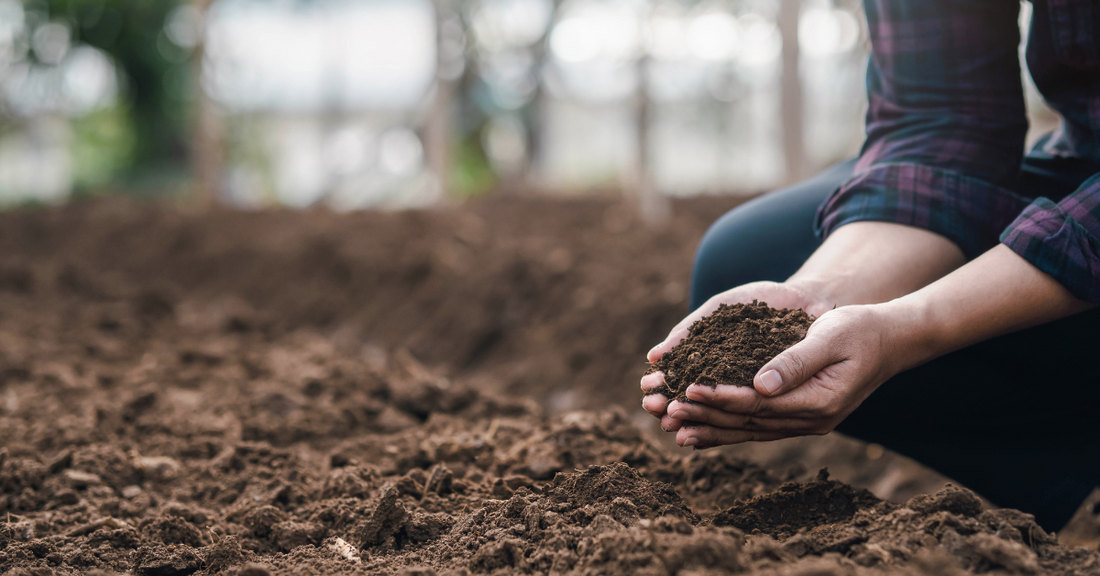 soil-regeneration