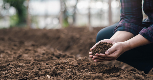 soil-regeneration