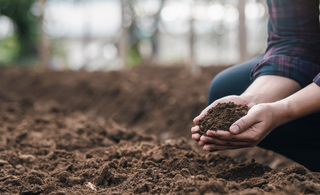 soil-regeneration