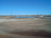 Dairy Lagoon Tests