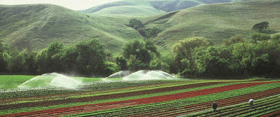 field