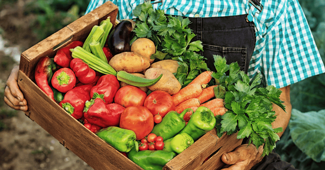 harvest-in-august