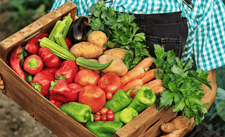 harvest-in-august