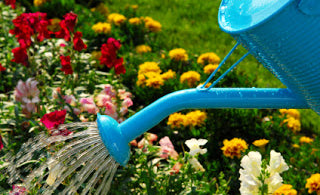 watering your garden