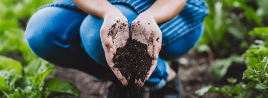 what-is-probiotic-gardening