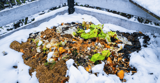 Winter Composting Wisdom: Keeping Your Compost Pile Thriving in Colder Months
