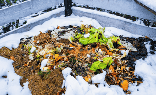 Winter Composting Wisdom: Keeping Your Compost Pile Thriving in Colder Months