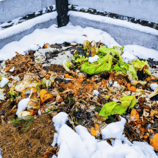 Winter Composting Wisdom: Keeping Your Compost Pile Thriving in Colder Months