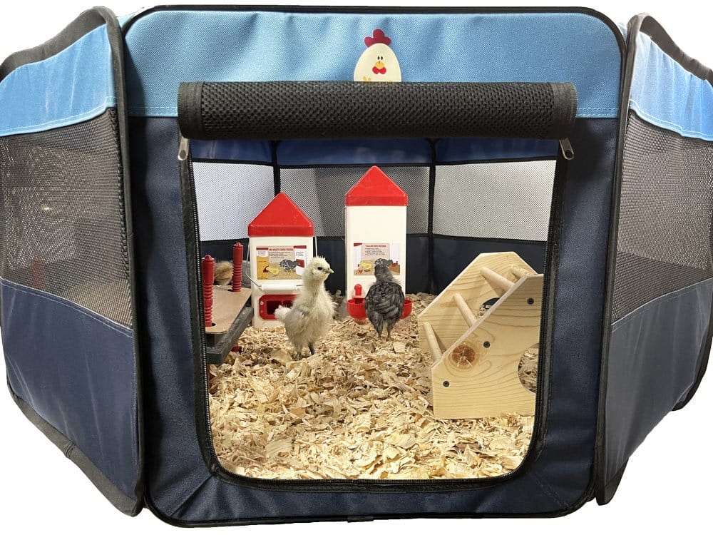 My Pet Chicken Baby Chick Supplies My Pet Chicken Hen Pen Pop-Up Brooder