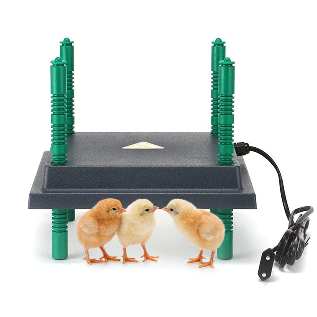 My Pet Chicken CHICKEN SUPPLIES 10x10 Farmight Chick Brooder Heater Plate, Adjustable Height, 3 Size Options