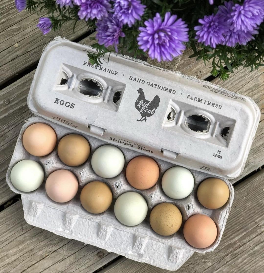 My Pet Chicken Egg Cartons 25 Henlay Laid Local Egg Cartons- Adorable Printed Vintage Design- 25, 90, or 250