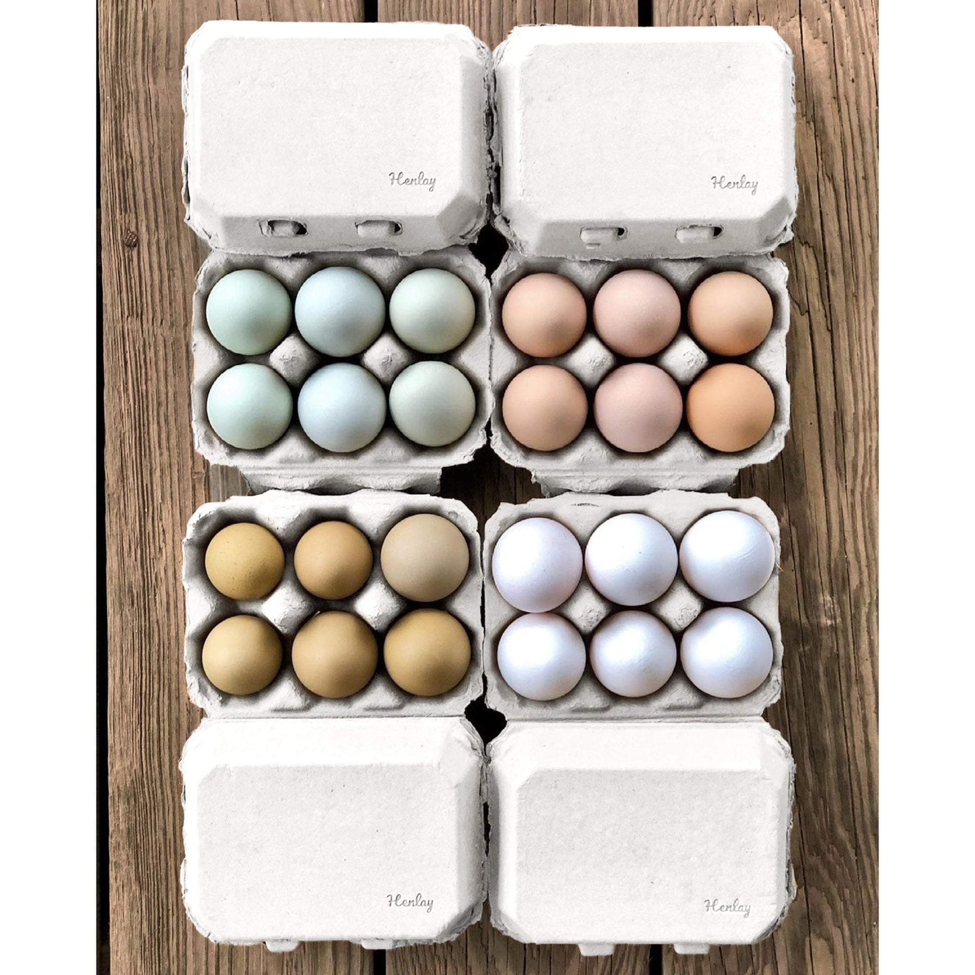 My Pet Chicken Egg Cartons Half Dozen Egg Cartons - Henlay Blank Flat Top, Six Pack, 2 colors, 20 or 100
