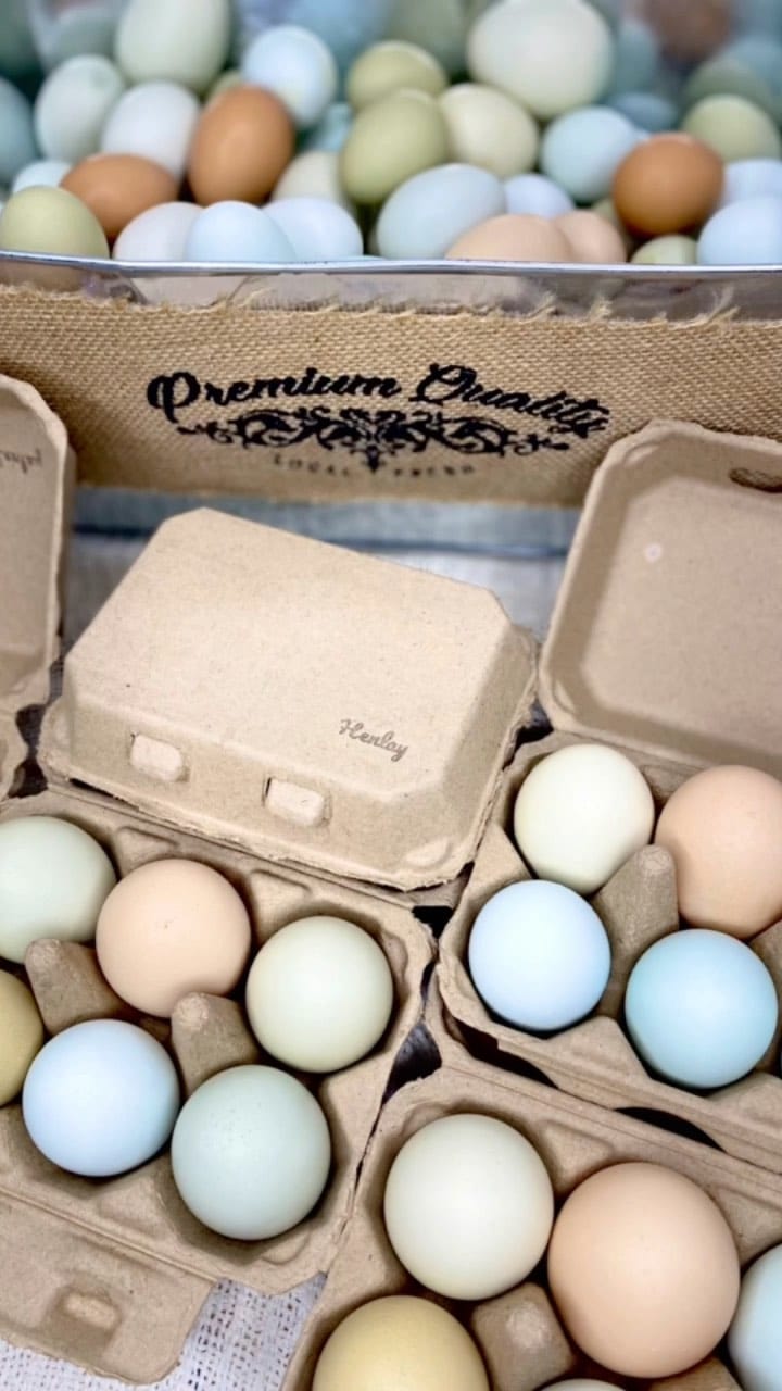My Pet Chicken Egg Cartons Half Dozen Egg Cartons - Henlay Blank Flat Top, Six Pack, 2 colors, 20 or 100
