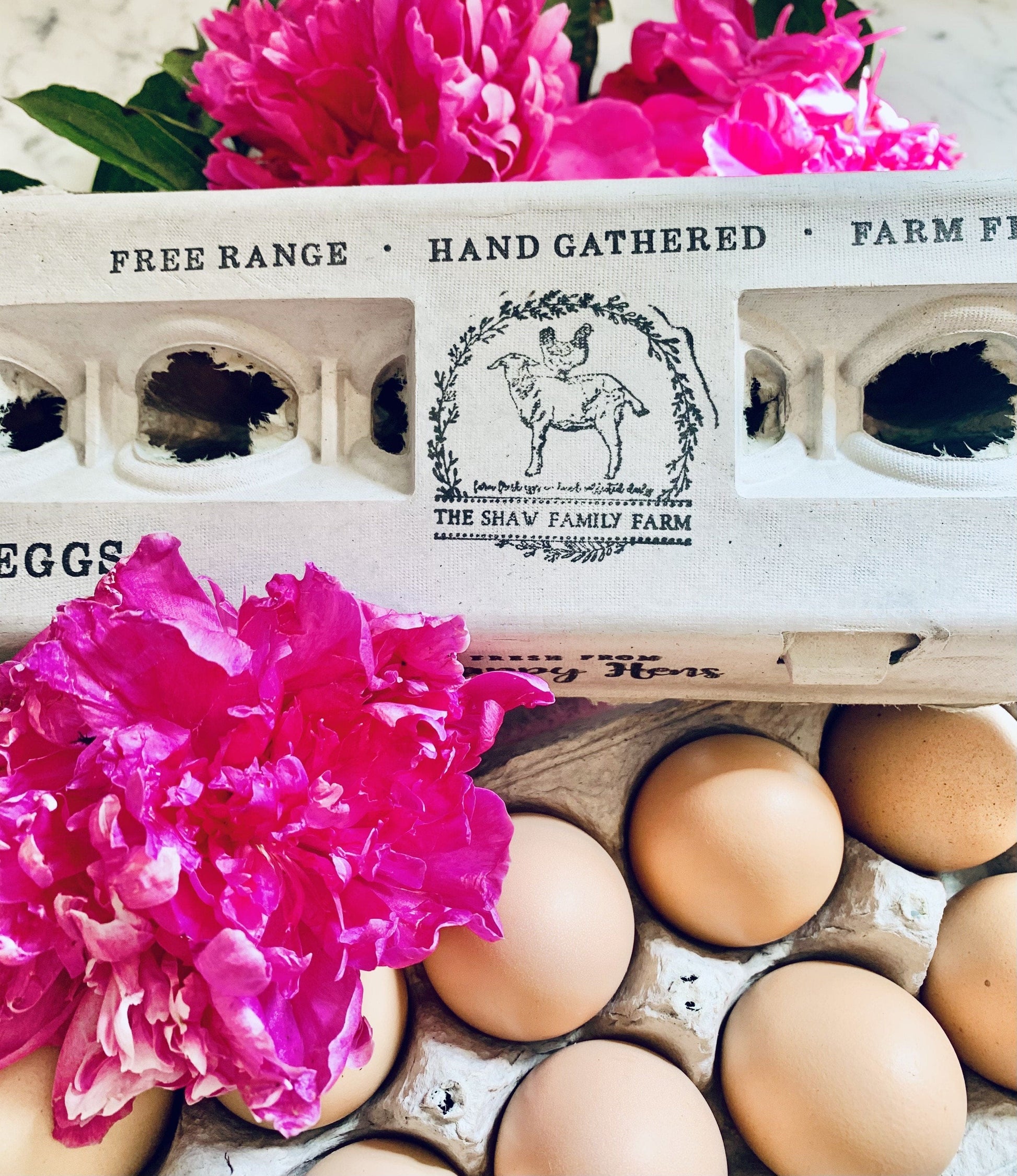 My Pet Chicken Egg Cartons Henlay Blank Stamping Egg Cartons - 25, 90, or 250