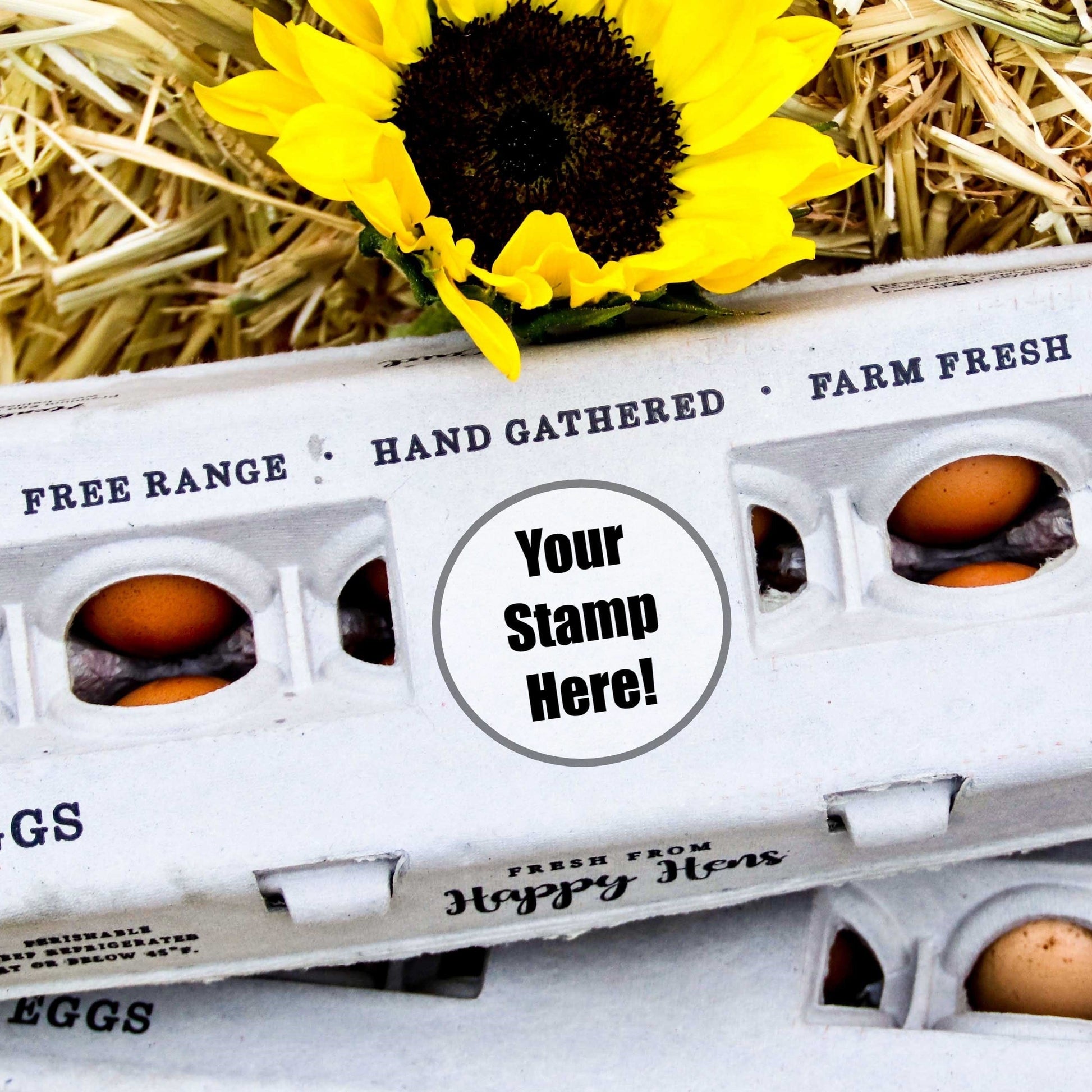 My Pet Chicken Egg Cartons Henlay Blank Stamping Egg Cartons - 25, 90, or 250