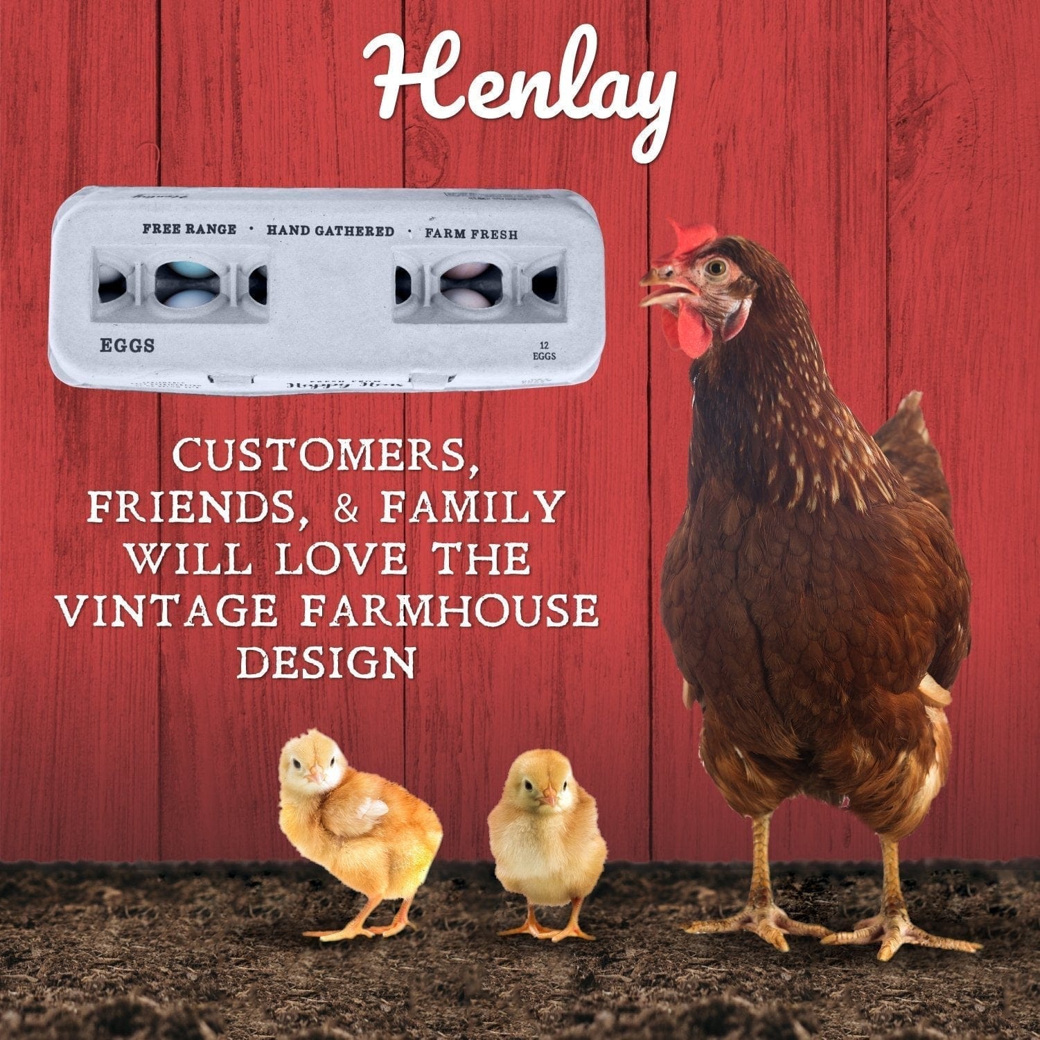 My Pet Chicken Egg Cartons Henlay Blank Stamping Egg Cartons - 25, 90, or 250