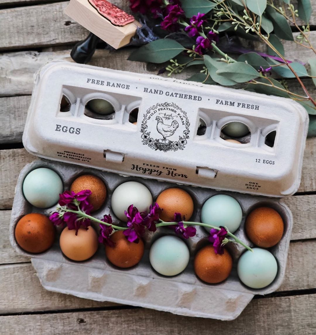 My Pet Chicken Egg Cartons Henlay Blank Stamping Egg Cartons - 25, 90, or 250