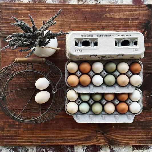 My Pet Chicken Egg Cartons Henlay Blank Stamping Egg Cartons - 25, 90, or 250
