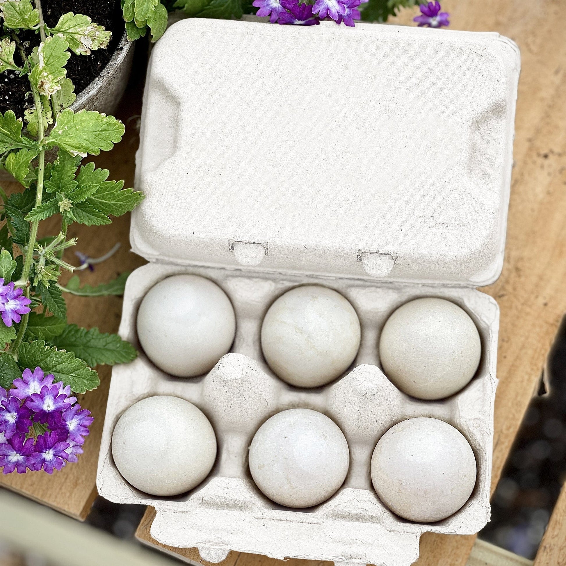 My Pet Chicken Egg Cartons Henlay Duck Egg Cartons - Holds Half Dozen Jumbo Eggs- Blank Flat Top, 2 colors, 20 or 100