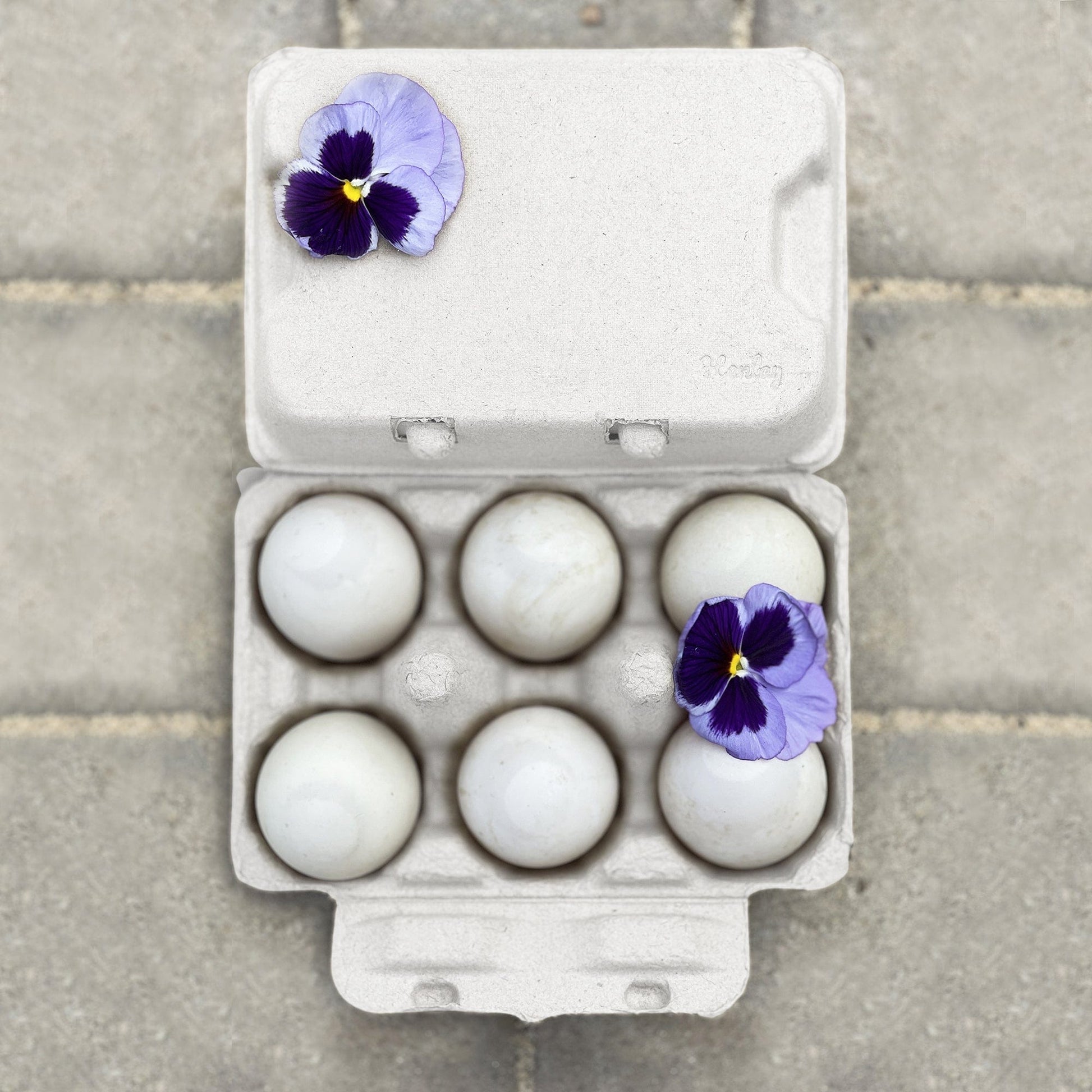 My Pet Chicken Egg Cartons Henlay Duck Egg Cartons - Holds Half Dozen Jumbo Eggs- Blank Flat Top, 2 colors, 20 or 100