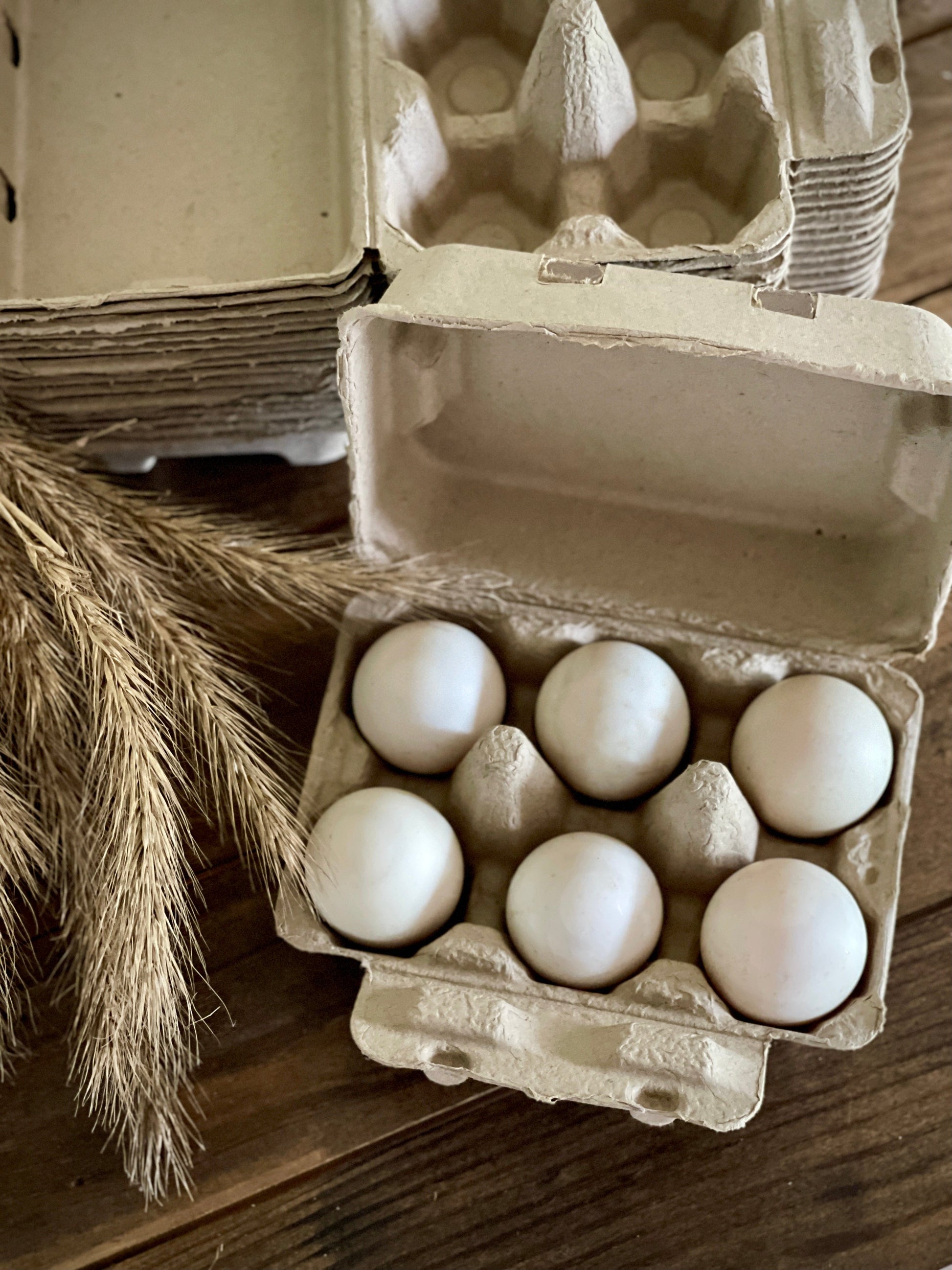 My Pet Chicken Egg Cartons Henlay Duck Egg Cartons - Holds Half Dozen Jumbo Eggs- Blank Flat Top, 2 colors, 20 or 100