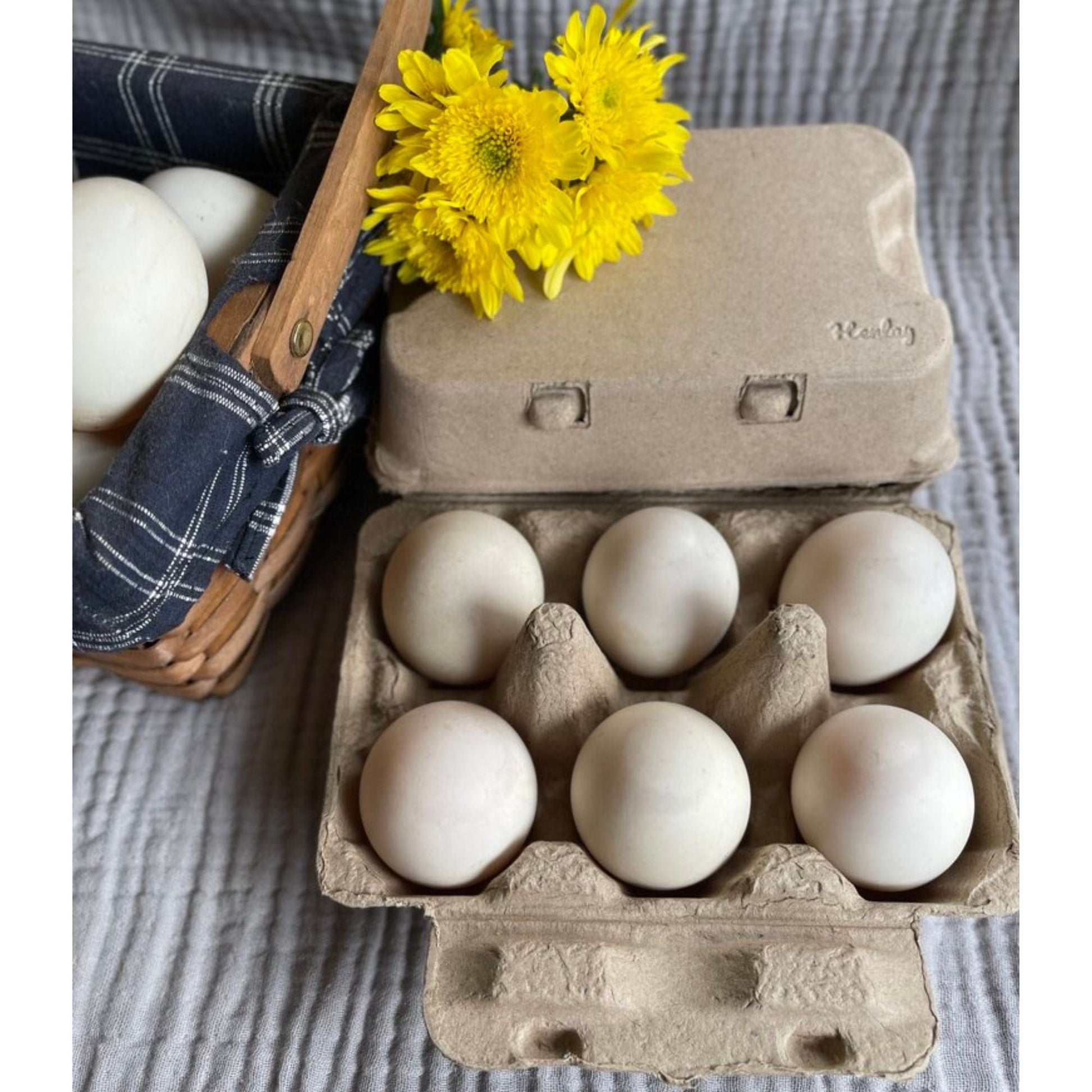 My Pet Chicken Egg Cartons Henlay Duck Egg Cartons - Holds Half Dozen Jumbo Eggs- Blank Flat Top, 2 colors, 20 or 100