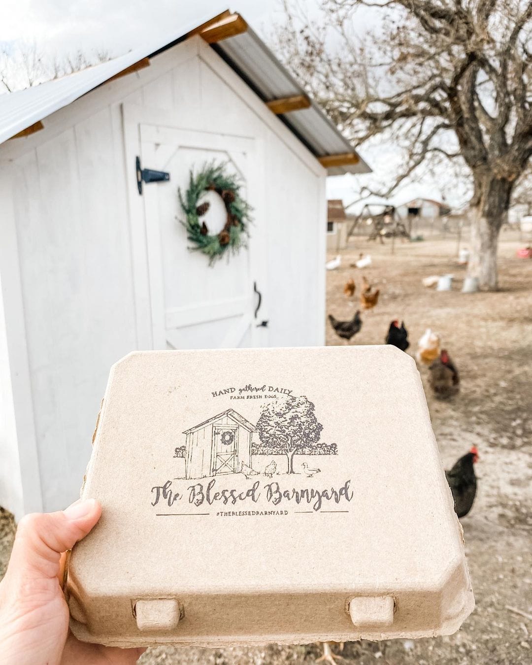 My Pet Chicken Egg Cartons Henlay Vintage Blank Egg Cartons, Classic 3x4 Design, 2 Colors, 25, 65, 75, or 200 Pack