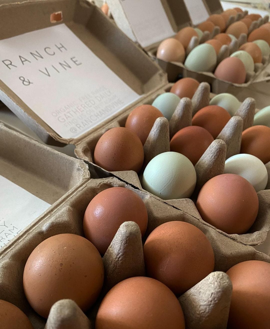 My Pet Chicken Egg Cartons Henlay Vintage Blank Egg Cartons, Classic 3x4 Design, 2 Colors, 25, 65, 75, or 200 Pack
