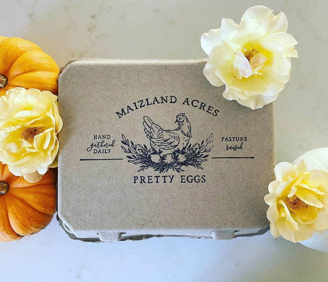 My Pet Chicken Egg Cartons Henlay Vintage Blank Egg Cartons, Classic 3x4 Design, 2 Colors, 25, 65, 75, or 200 Pack