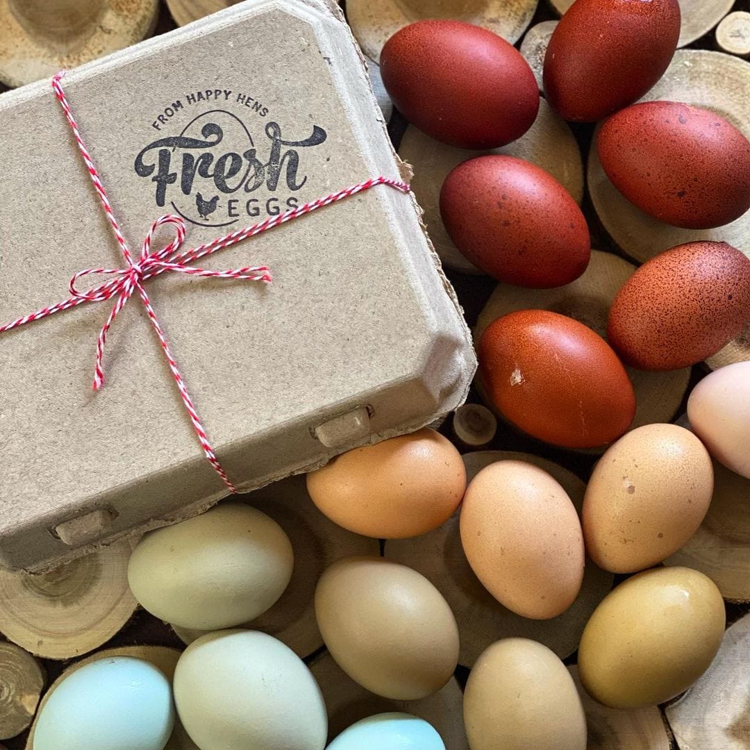 My Pet Chicken Egg Cartons Henlay Vintage Blank Egg Cartons, Classic 3x4 Design, 2 Colors, 25, 65, 75, or 200 Pack