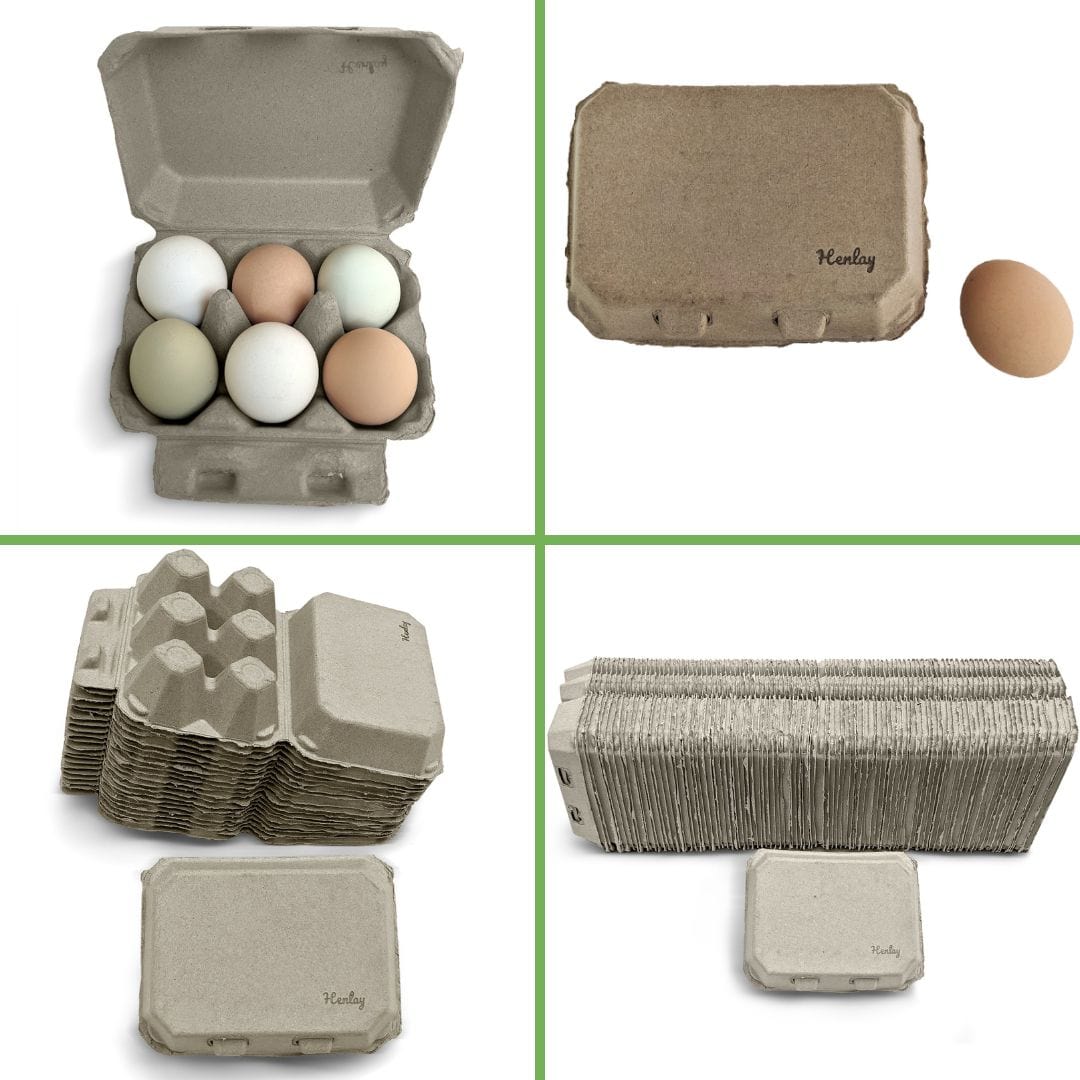 My Pet Chicken Egg Cartons Tan Egg Cartons / 20 Cartons Half Dozen Egg Cartons - Henlay Blank Flat Top, Six Pack, 2 colors, 20 or 100