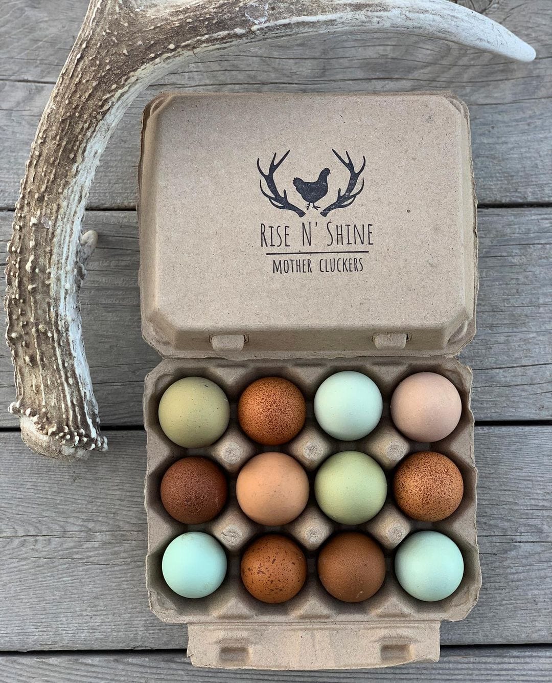 My Pet Chicken Egg Cartons Tan Egg Cartons / 200 Cartons Henlay Vintage Blank Egg Cartons, Classic 3x4 Design, 2 Colors, 25, 65, 75, or 200 Pack