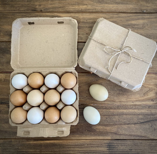 My Pet Chicken Egg Cartons Tan Egg Cartons / 25 Cartons Henlay Vintage Blank Egg Cartons, Classic 3x4 Design, 2 Colors, 25, 65, 75, or 200 Pack