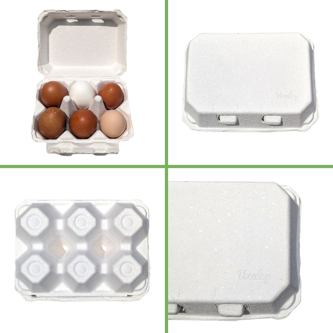 My Pet Chicken Egg Cartons White Egg Cartons / 20 Cartons Half Dozen Egg Cartons - Henlay Blank Flat Top, Six Pack, 2 colors, 20 or 100
