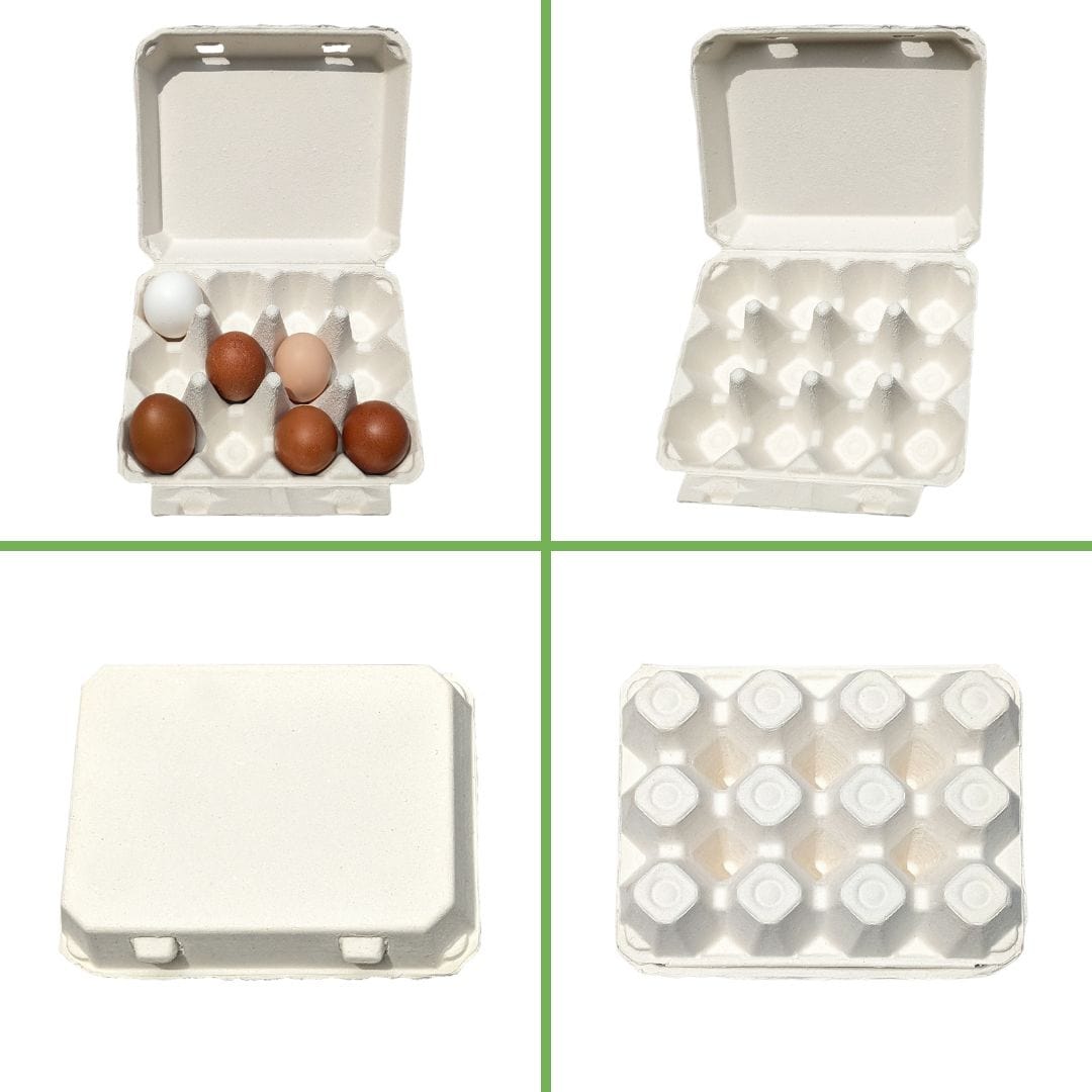 My Pet Chicken Egg Cartons White Egg Cartons / 200 Cartons Henlay Vintage Blank Egg Cartons, Classic 3x4 Design, 2 Colors, 25, 65, 75, or 200 Pack