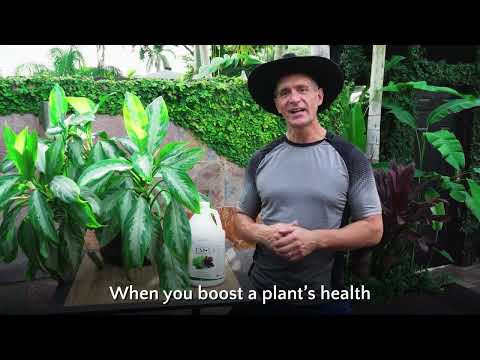 EM1 Soil Conditioner - Improve Garden Health & Fertility | TeraGanix